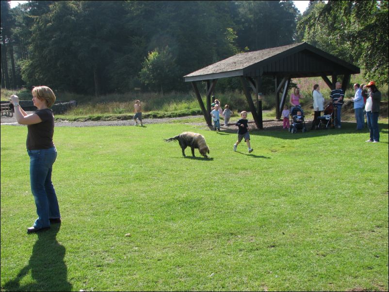 Matilda spotted photographing nobody